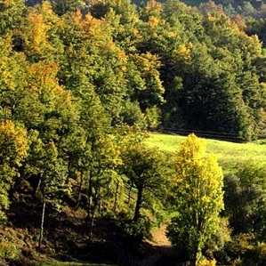 Immersi nel Parco dei Monti Rognosi